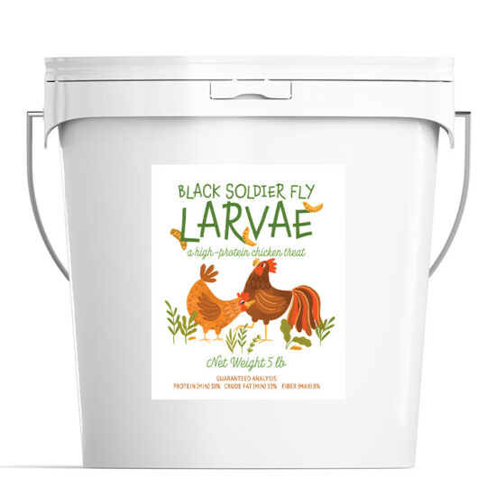 Black Soldier Fly Larvae Bucket