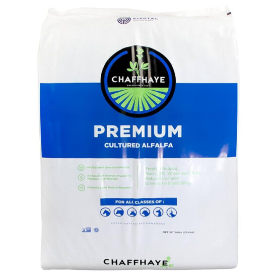 Chaffhaye Cultured Alfalfa