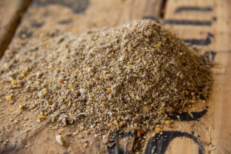 New Country Organics Pastured Perfect Starter Feed - Image 2