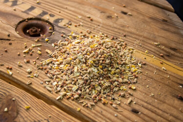 New Country Organics Scratch Grains - Image 2