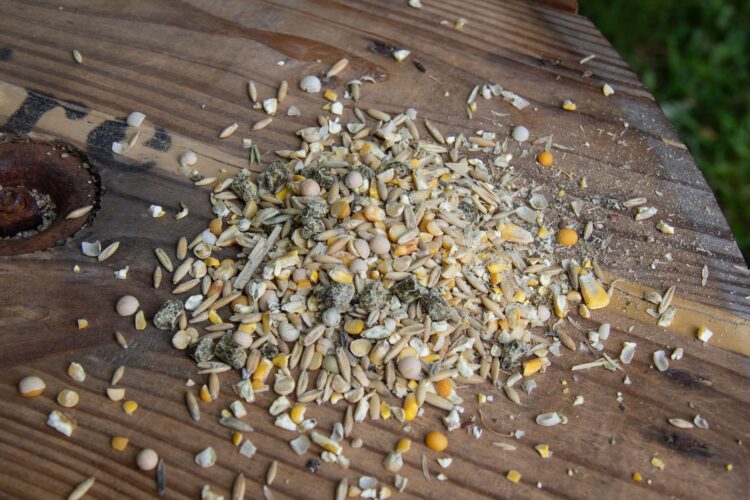 New Country Organics Sheep Feed - Image 2