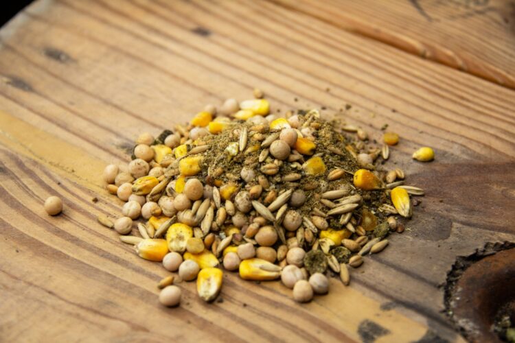 New Country Organics Unmilled Layer Feed - Image 2