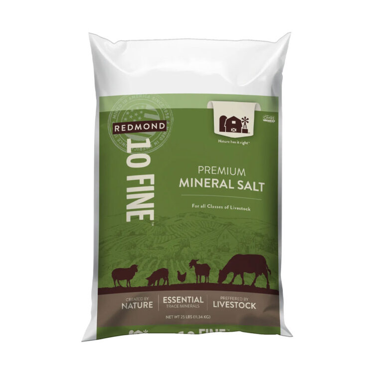 Redmond #10 Fine Mineral Salt