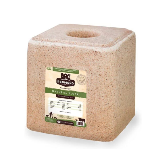Redmond Natural Mineral Block