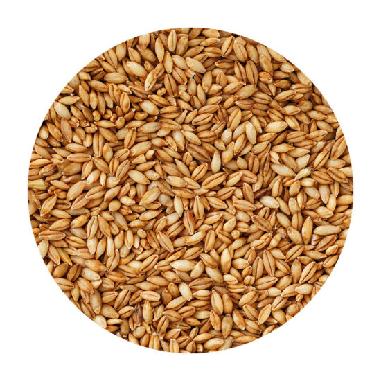 Whole Barley, Non-Organic - 50 lb