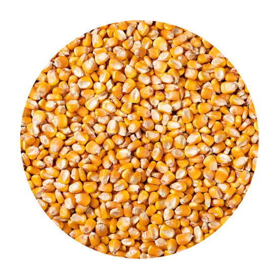 Whole Corn, Non-Organic - 50 lb
