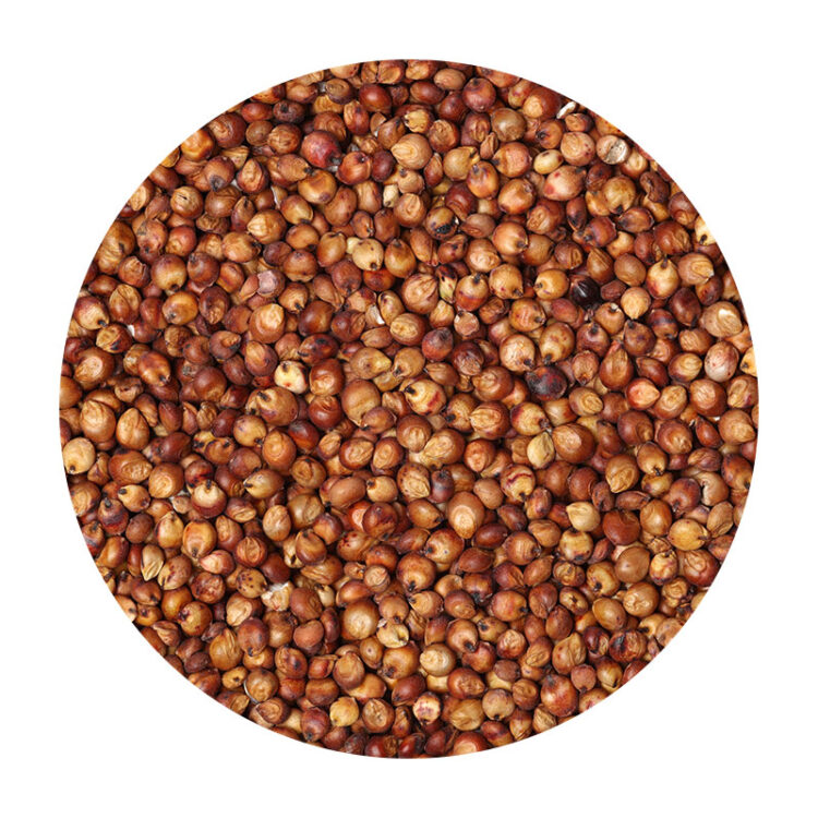 Milo/Sorghum, Non-Organic - 50 lb