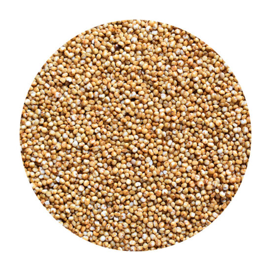 Millet, Non-Organic - 50 lb