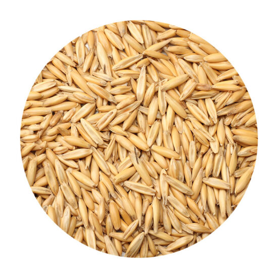 Whole Oats, Non-Organic - 50 lb