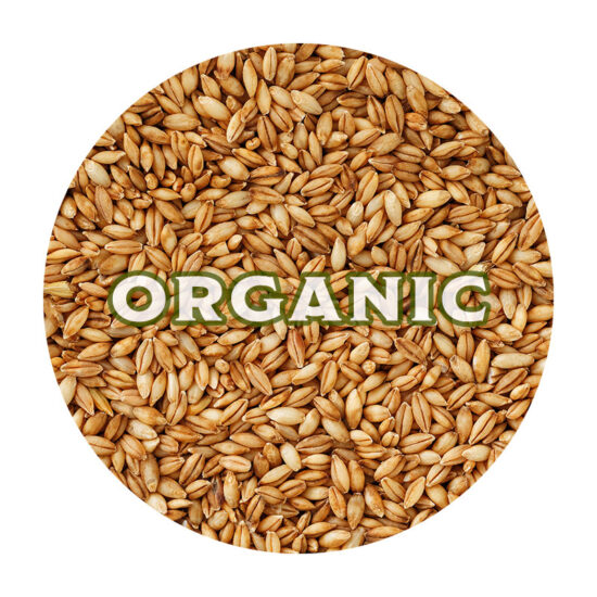 Whole Barley, Organic - 45 lb
