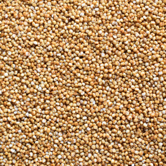 Millet, Non-Organic - 50 lb