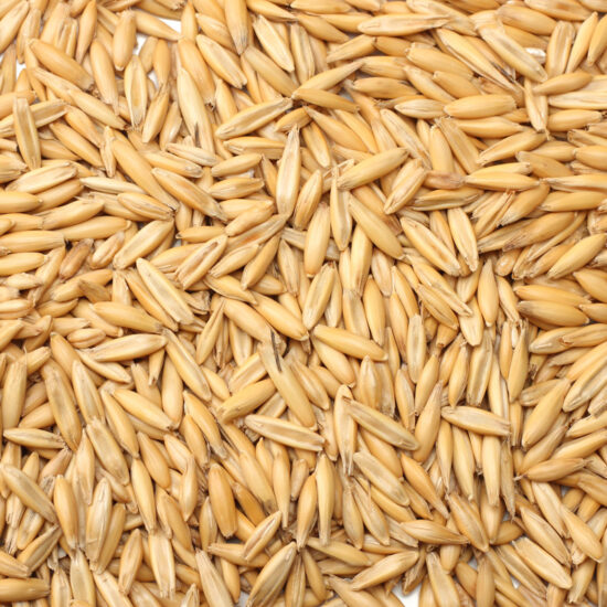 Whole Oats, Non-Organic - 50 lb